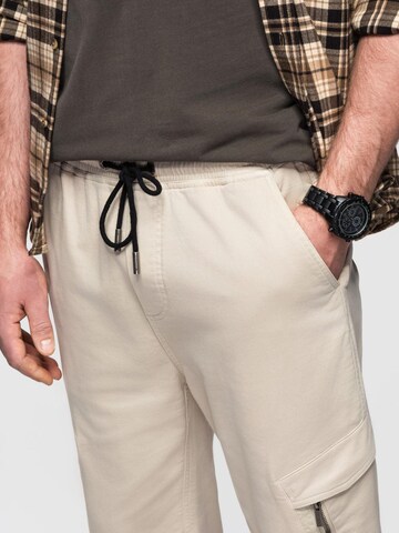 regular Pantaloni sportivi di Ombre in beige