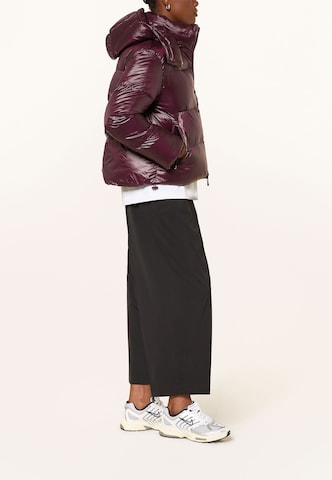 darling harbour Pufferjacke in Rot: Seite