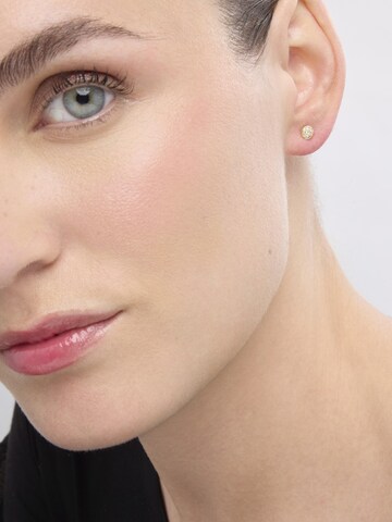 Luxenter Earrings 'Chikra' in Gold