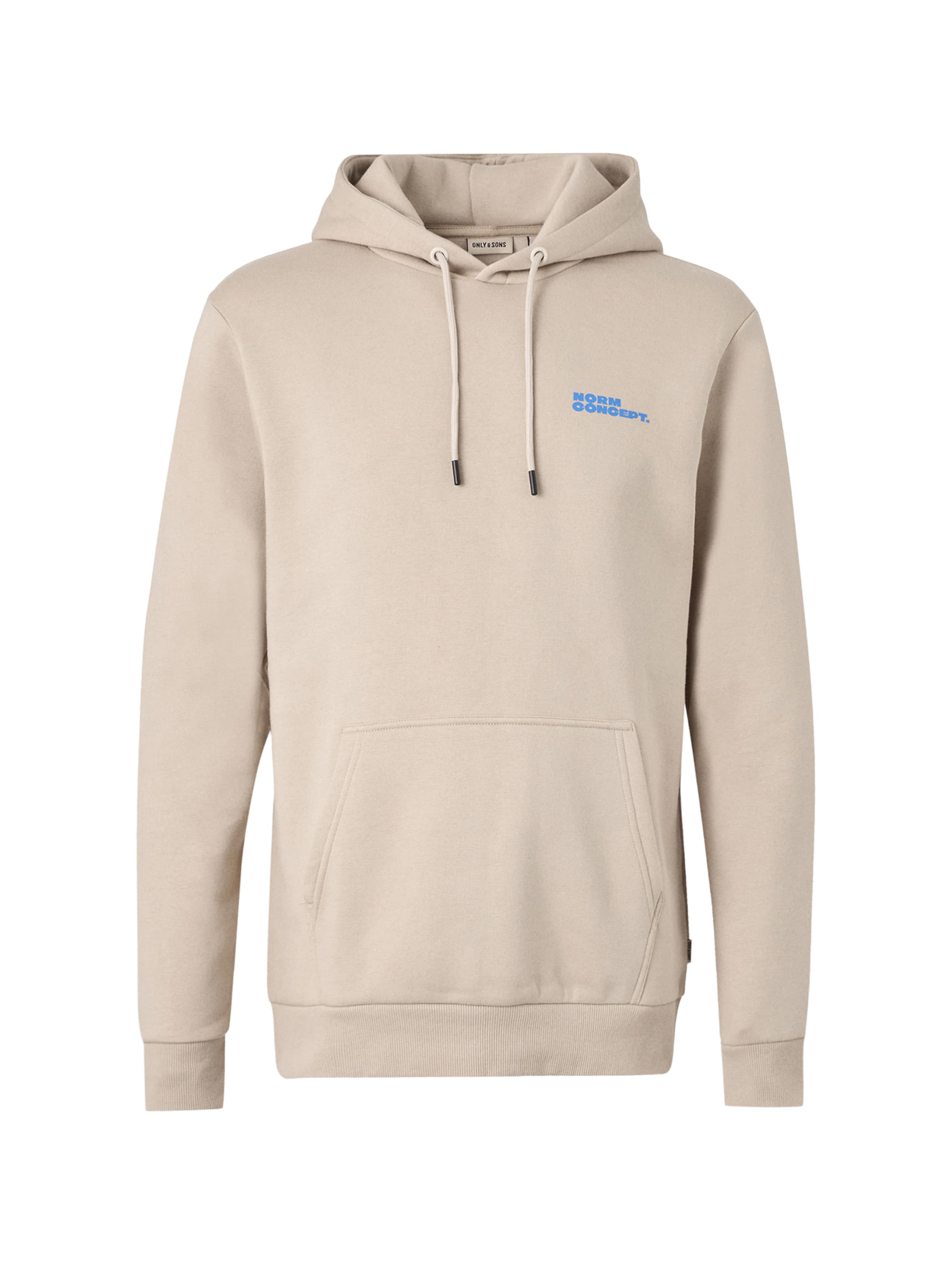 Sweat-shirt 'ONSNORM' Only & Sons en gris : devant