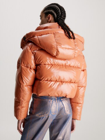 Calvin Klein Jeans Winter Jacket in Orange