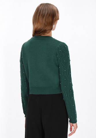 Pull-over faina en vert