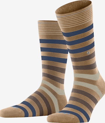 BURLINGTON Socken 'Blackpool' in Braun: Vorderseite