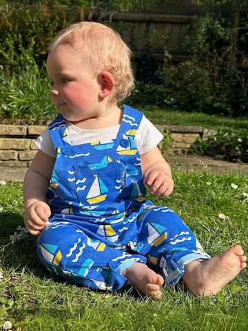 Toby Tiger Regular Overalls in Blue