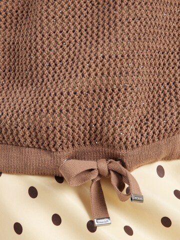 monari Sweater in Brown