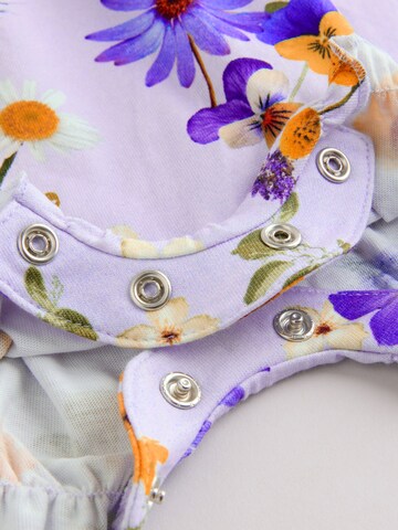 purpurinė Next Šliaužtinukas / glaustinukė