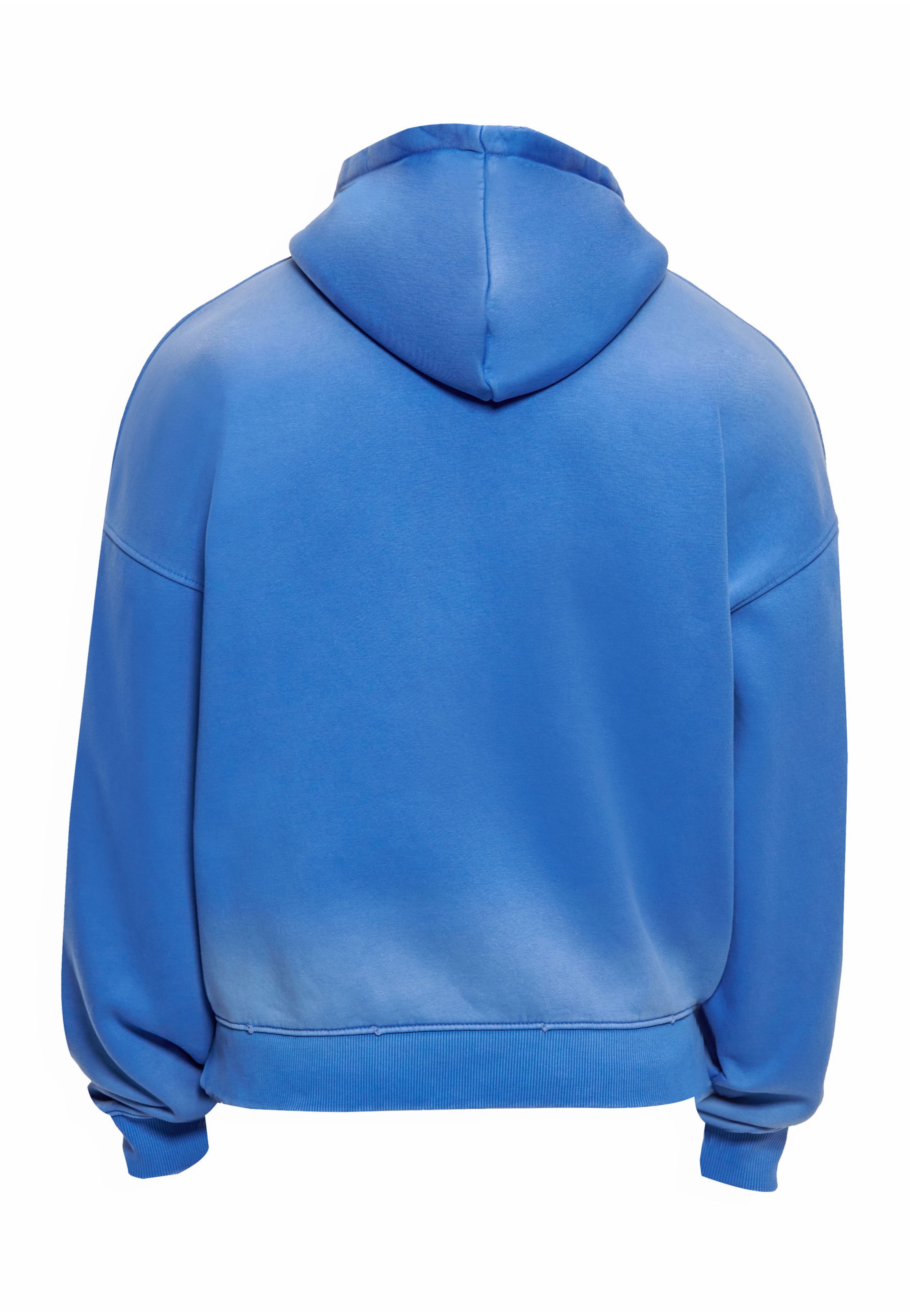 Dropsize Sweatshirt in Blue