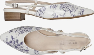 PETER KAISER Ballerina 39 in Weiß: Vorderseite