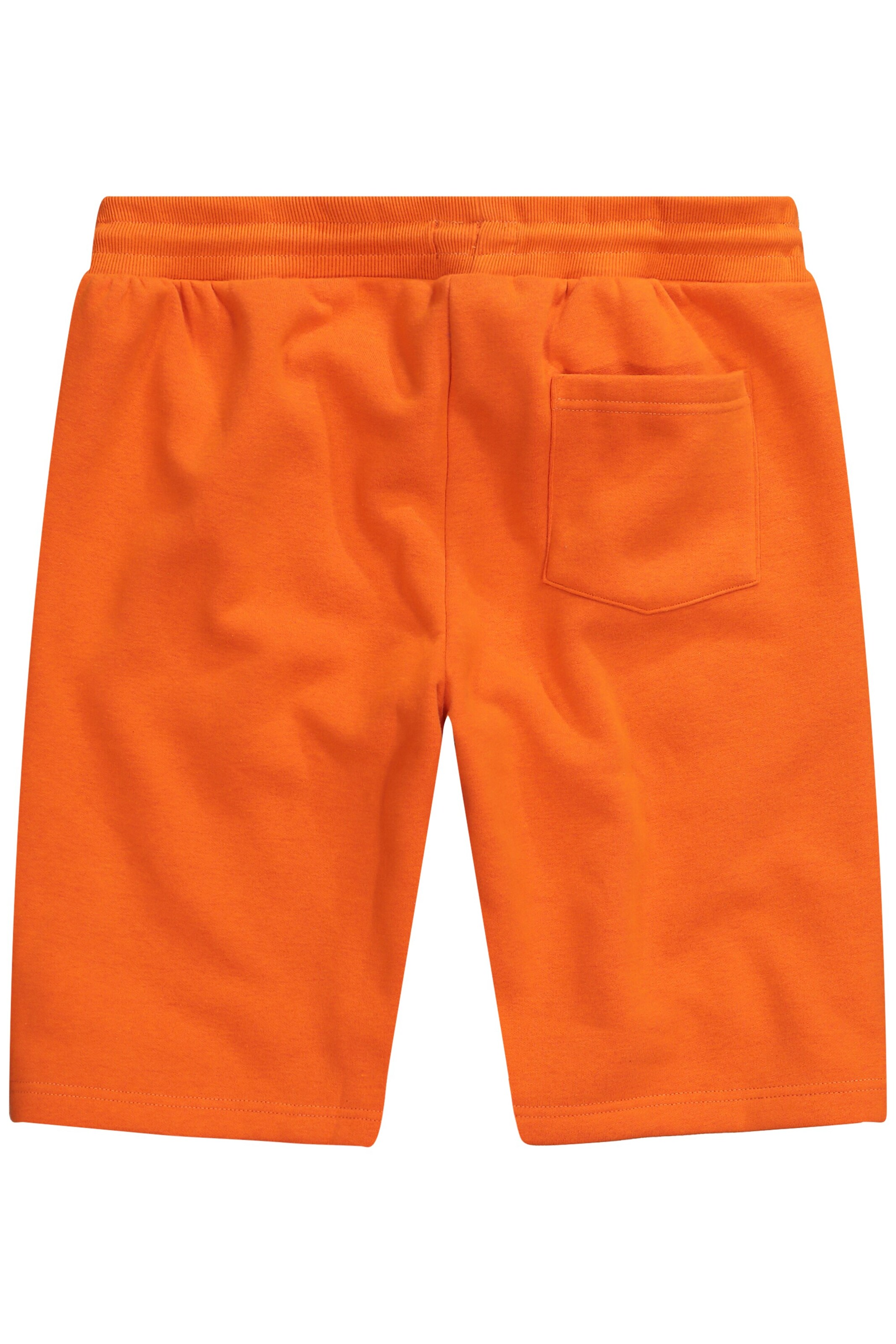 Men Plus Regular Sportbroek in Oranje