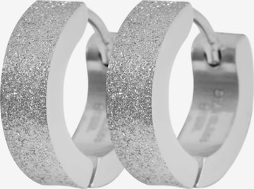 Akzent Earrings 'Matty, langlebig' in Silver: front
