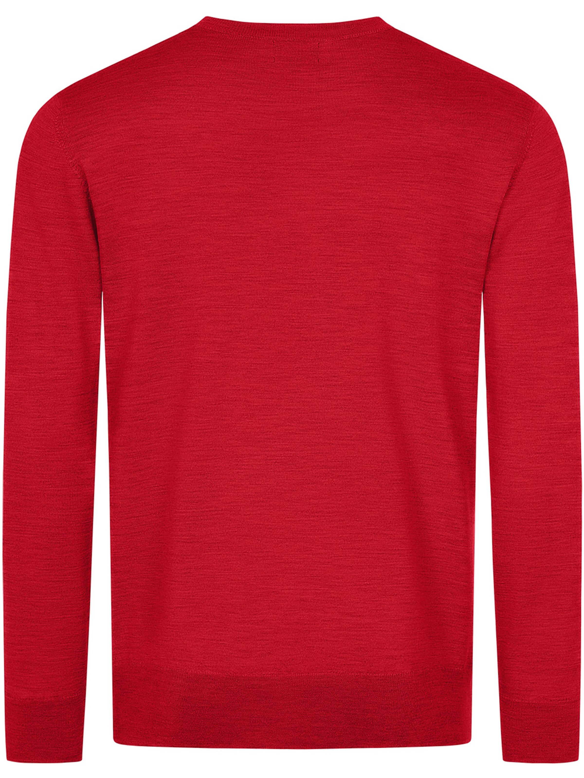 GIESSWEIN Trui in Rood