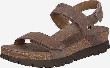 PANAMA JACK Sandalen met riem 'Selma B18' in Grijs: voorkant