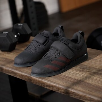 Chaussure de sport 'Powerlift 5' ADIDAS PERFORMANCE en noir