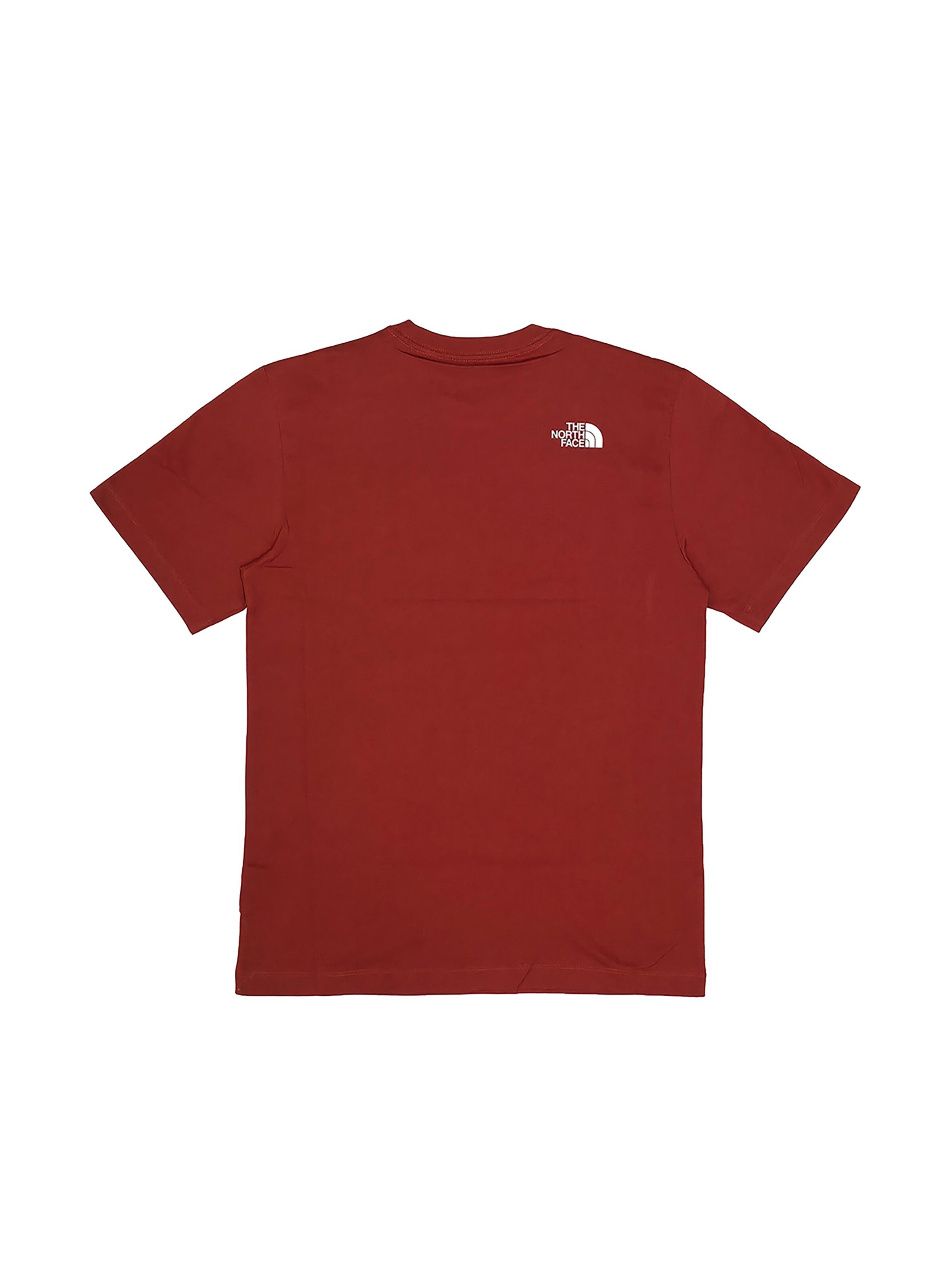 THE NORTH FACE Shirt 'Evolution Half Dome Regular'‌‌‌‌‌‌‌‌‌ in Rot