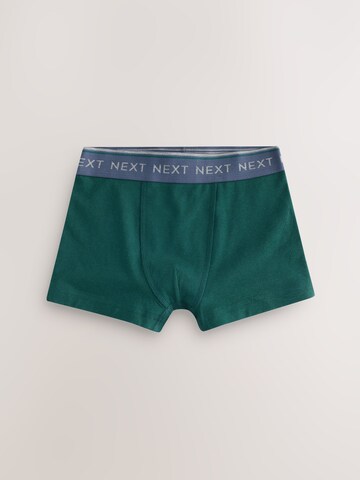 Next Underpants in Blue