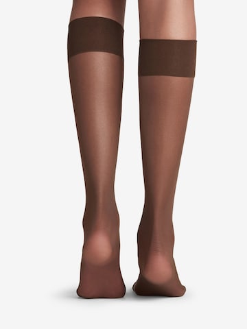 FALKE Overknee Strümpfe 'Pure Matt' in Braun
