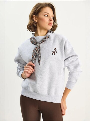 Bianco Lucci Sweatshirt in Grey