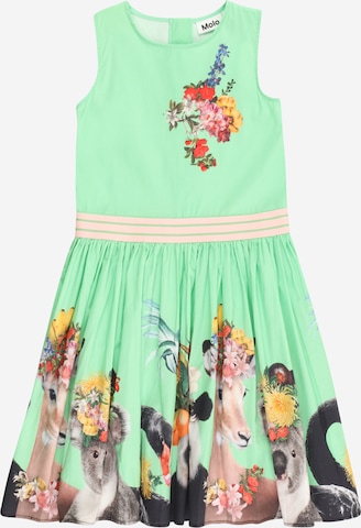 Molo فستان 'Carli' بلون أخضر: الأمام