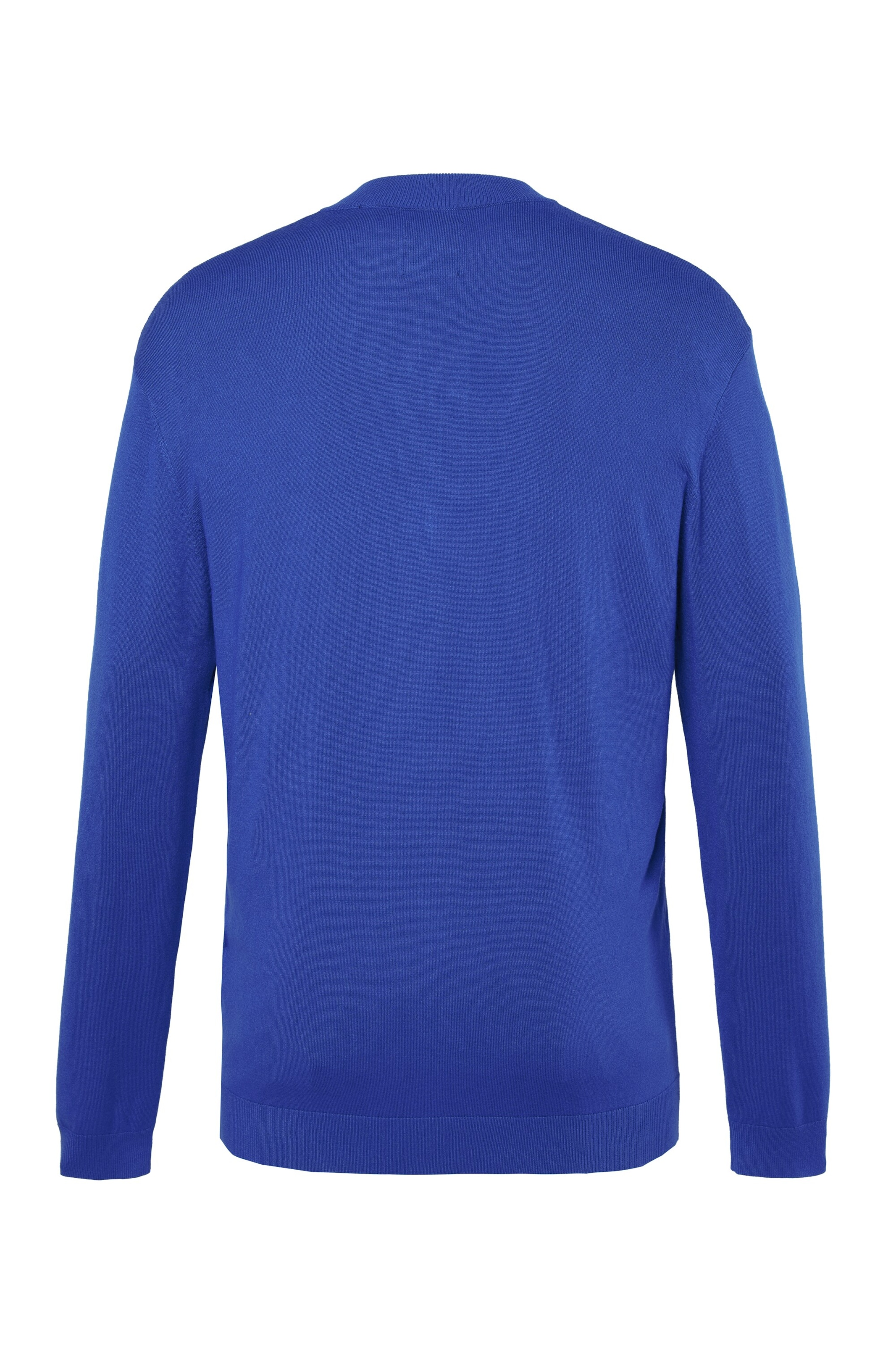 Men Plus Pullover in Blau