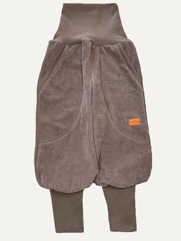 LiVi BERLIN Baggy Hose 'NICKYCORD' in Beige: Vorderseite