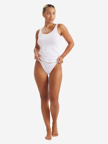 ADIDAS PERFORMANCE Panty in Mixed colors