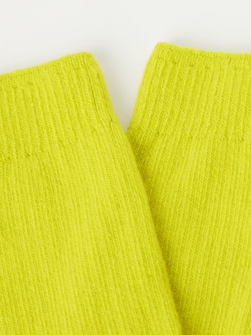 CALZEDONIA Socks in Yellow