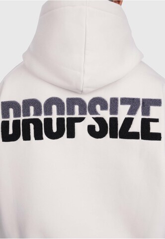 Dropsize Sweatshirt in Grau