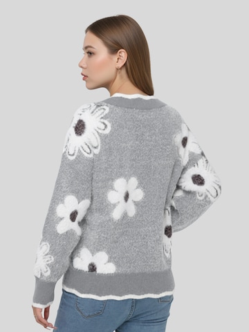 Pull-over LapaPlus en gris