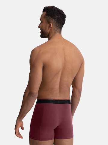 Boxers 'Bamboo' DANISH ENDURANCE en rouge