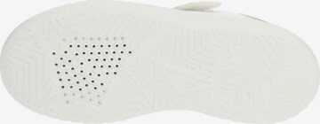 GEOX Sneakers in White