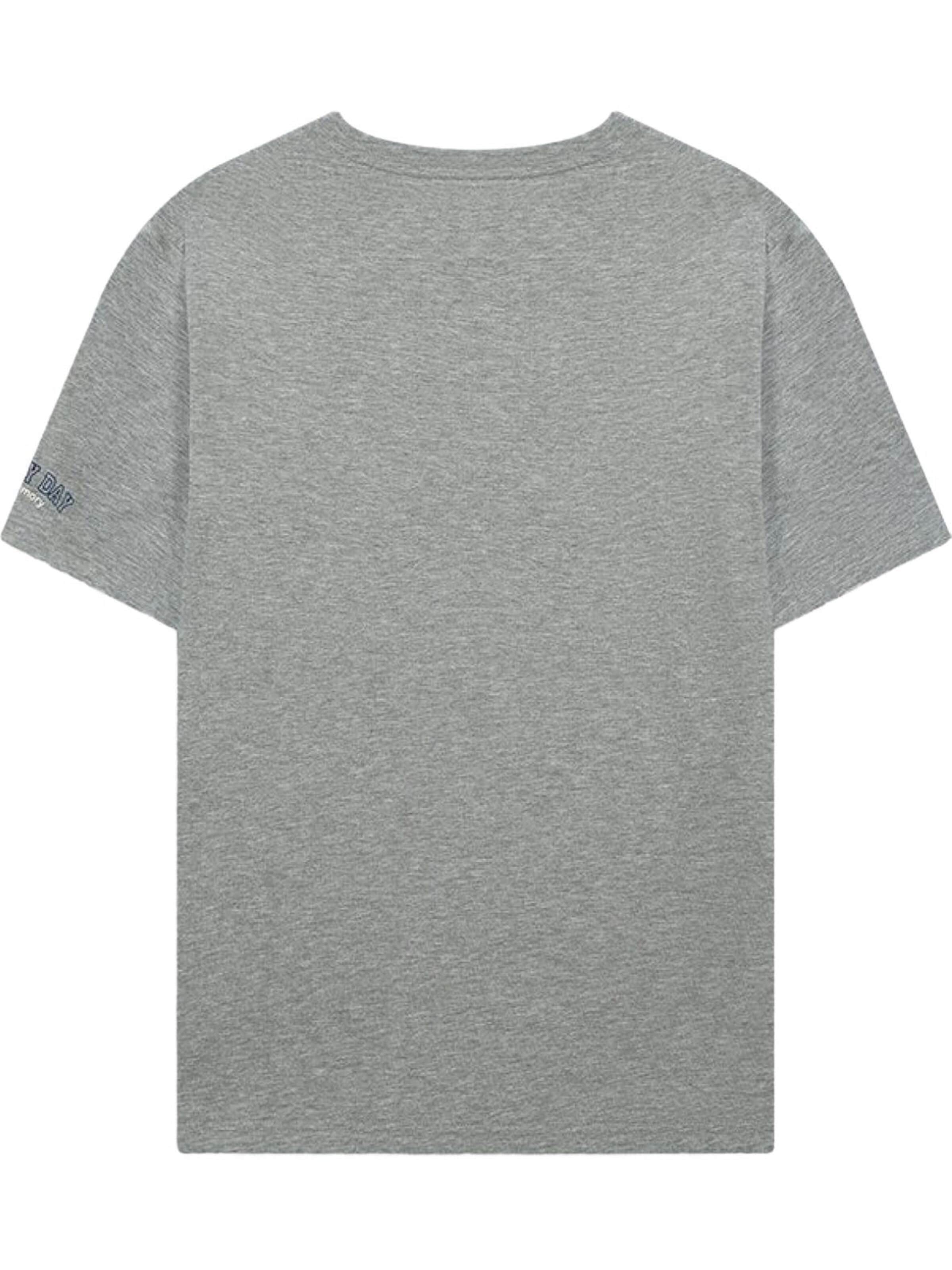 T-Shirt LTB Jeans en gris : devant