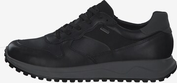 IGI&CO Sneaker '46404' in Schwarz