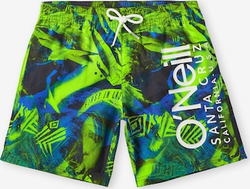 Shorts de bain 'Cali Crazy' O'NEILL en vert : devant