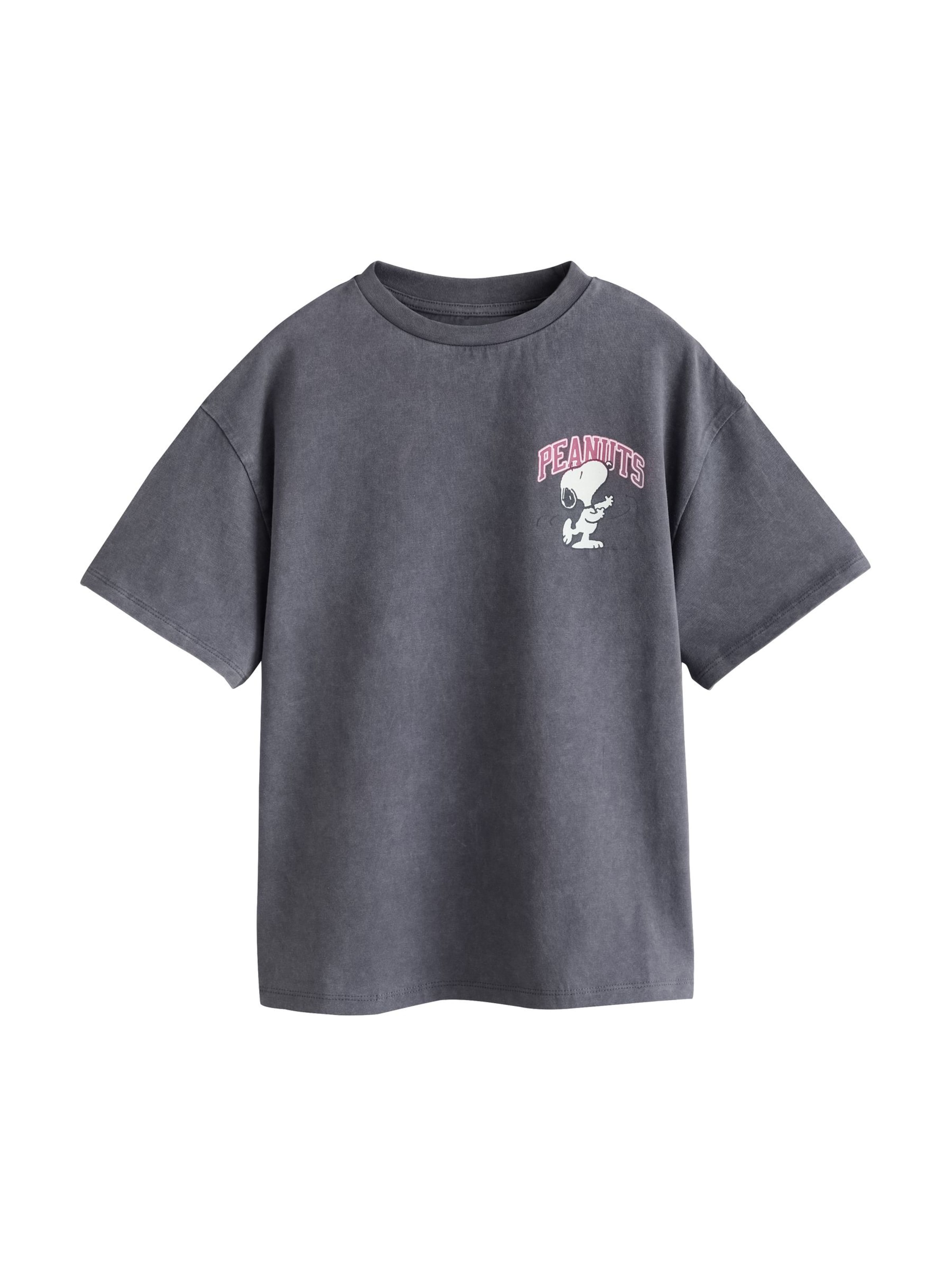Maglietta 'Peanuts Snoopy' di Next in grigio: frontale