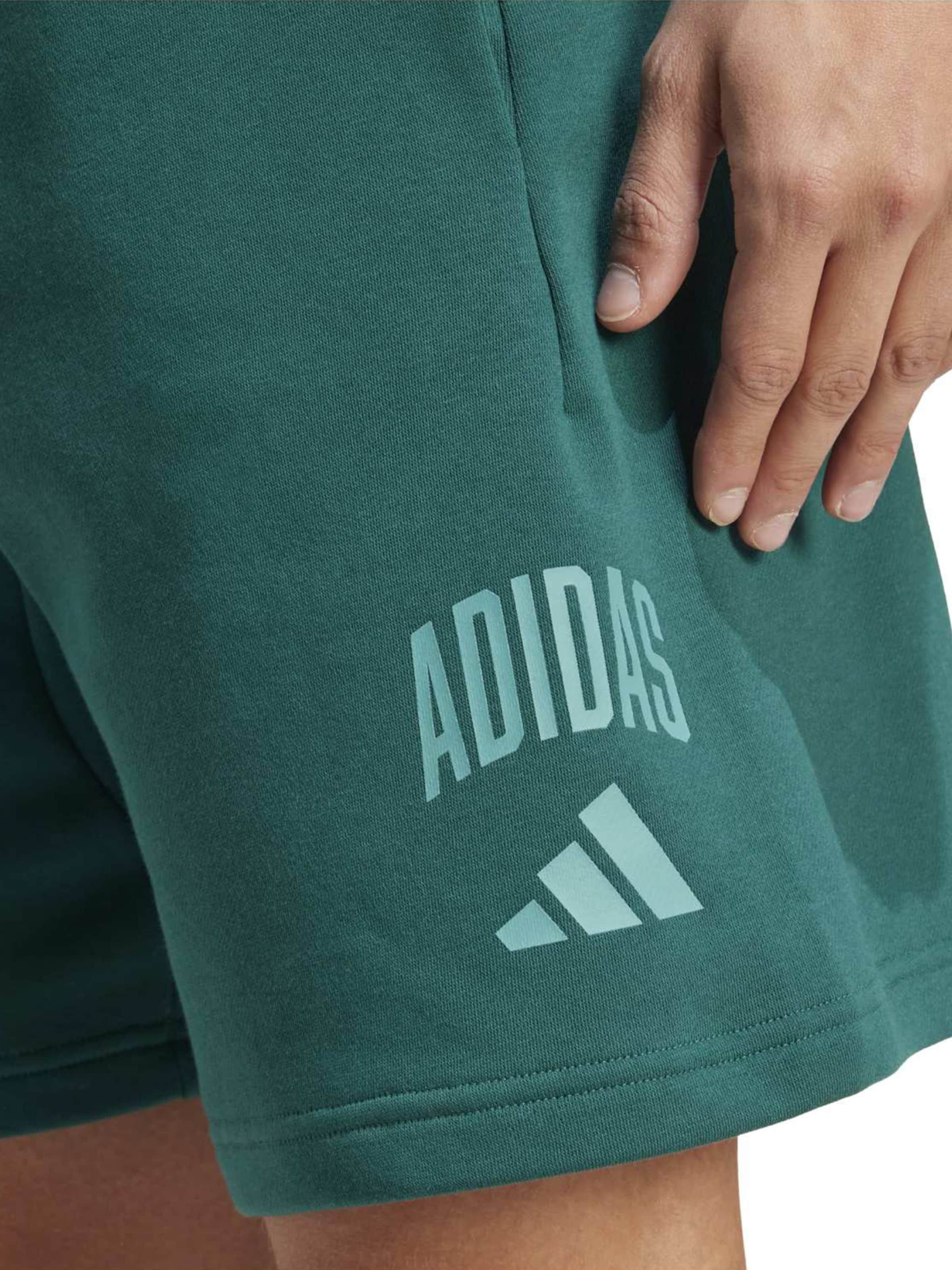 ADIDAS SPORTSWEAR Regular Sportbroek 'COLLEGIATE' in Groen