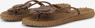 ILSE JACOBSEN Sandals 'Cheerful 16' in Brown: front