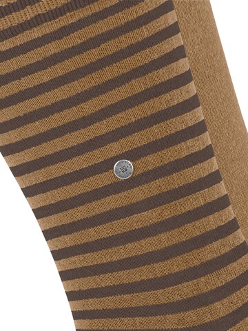 BURLINGTON Socks 'Everyday Stripe 2-Pack' in Brown