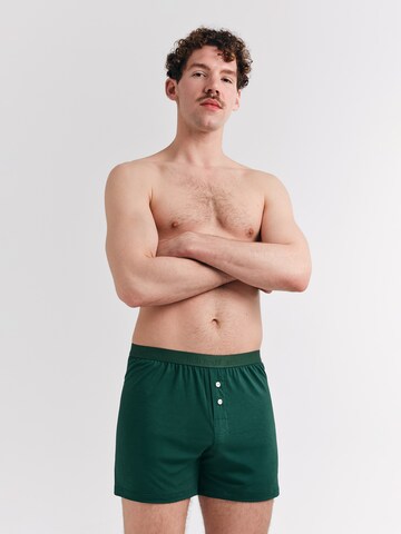 Erlich Textil Boxershorts 'Light Touch' in Grün: Vorderseite