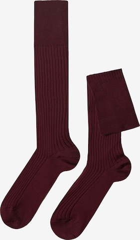 CALZEDONIA Socks in Red: front