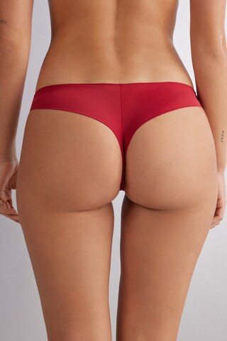 INTIMISSIMI Thong in Red