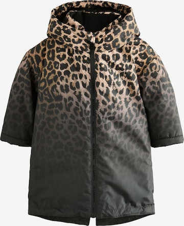 mišri smALLSAINTS Paltas: priekis