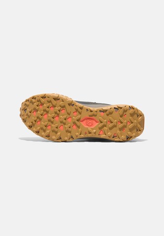 Sneaker bassa di TIMBERLAND in marrone