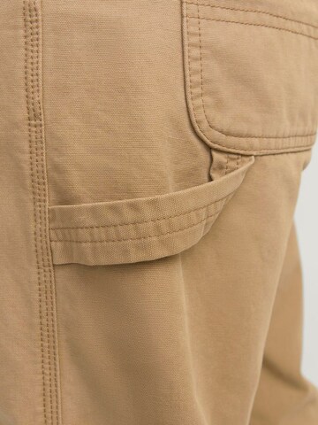 regular Pantaloni chino 'JPSTeddie JJBarkley' di JACK & JONES in marrone
