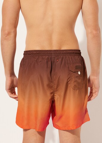 CALZEDONIA Regular Board Shorts in Brown