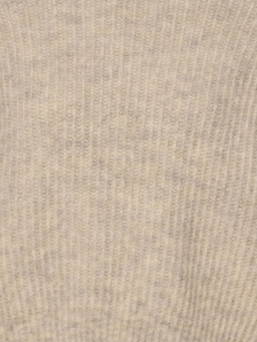 AMERICAN VINTAGE Trui ' East ' in Beige