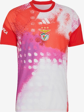 ADIDAS PERFORMANCETehnička sportska majica 'Benfica Lissabon 26/27 Pre-Match' - crvena boja: prednji dio