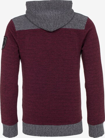 CIPO & BAXX Kapuzensweater in Mischfarben
