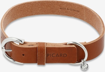 Picard Hundehalsband in Braun: predná strana