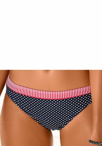 s.Oliver Bikini Bottoms in Blue