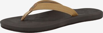 REEF T-Bar Sandals 'Tides' in Brown: front